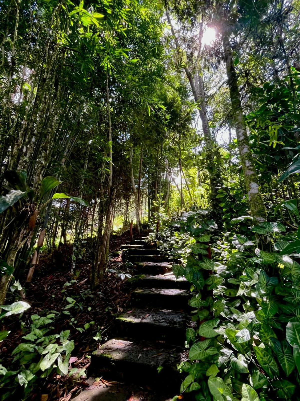 Refugio De Orquideas Villa Oxapampa Exteriör bild