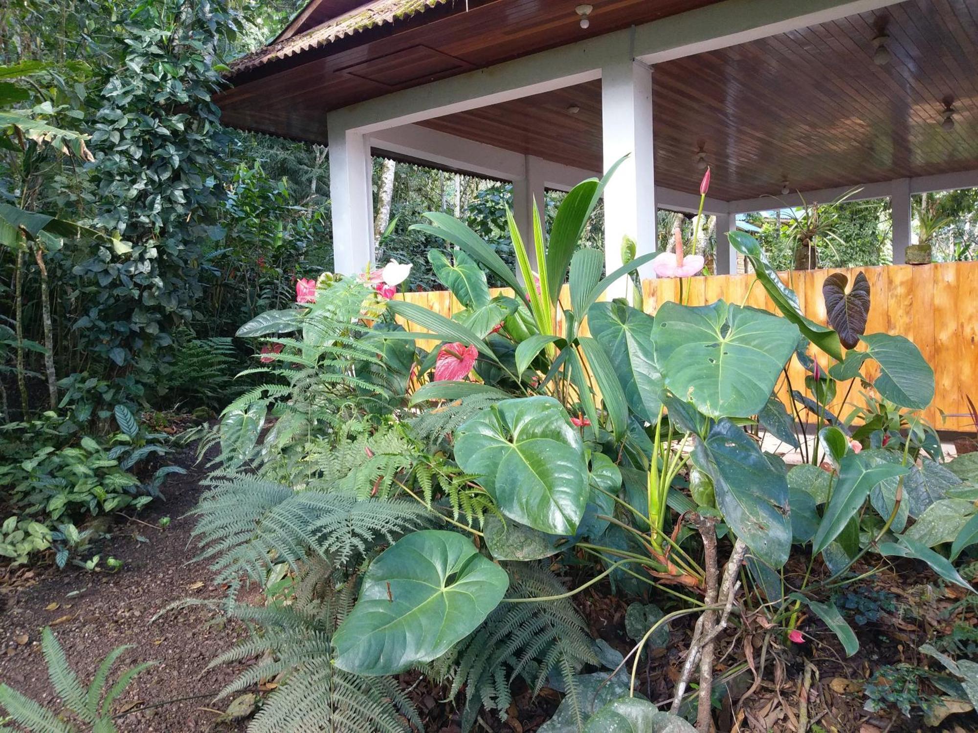 Refugio De Orquideas Villa Oxapampa Exteriör bild