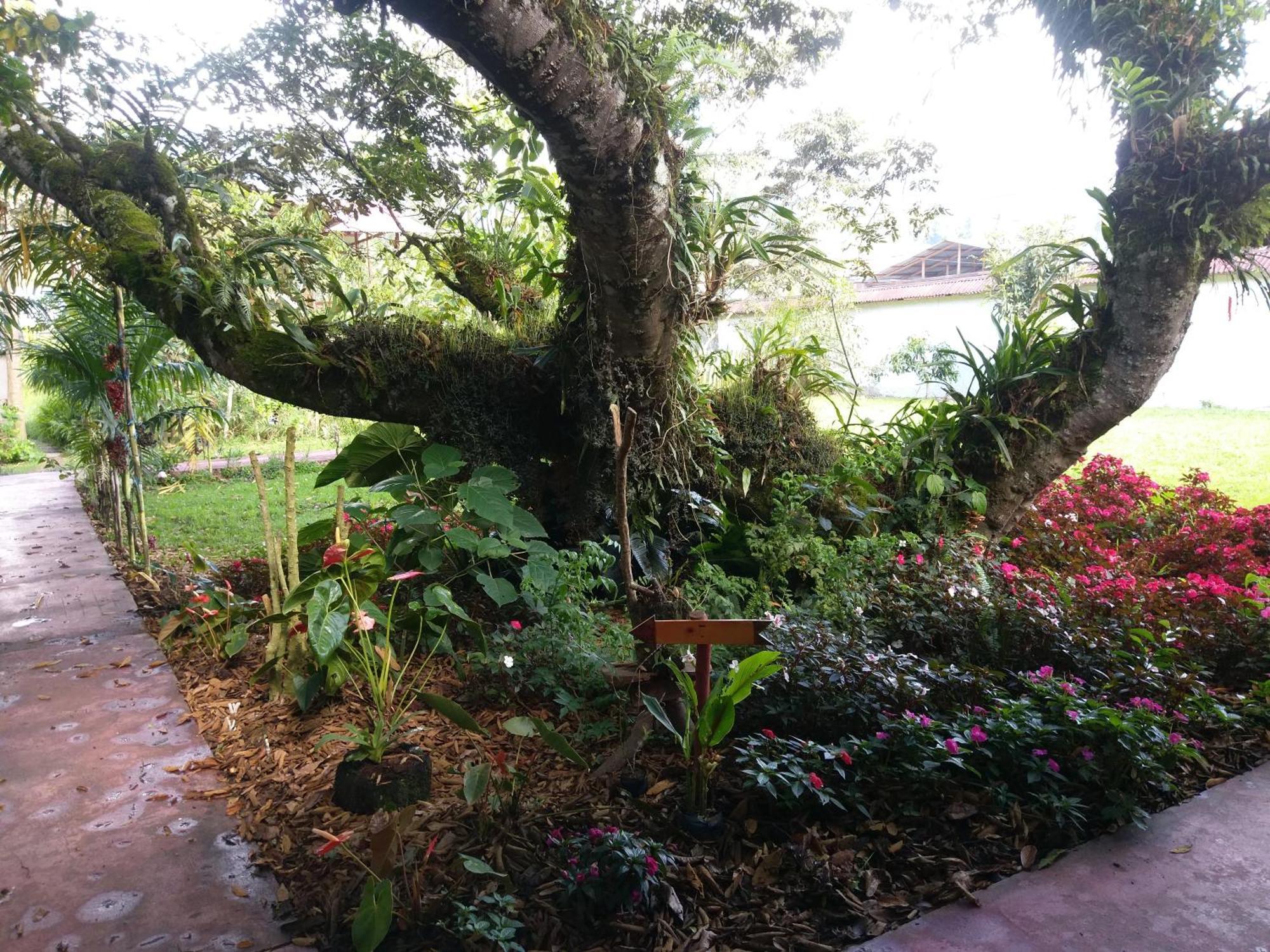 Refugio De Orquideas Villa Oxapampa Exteriör bild