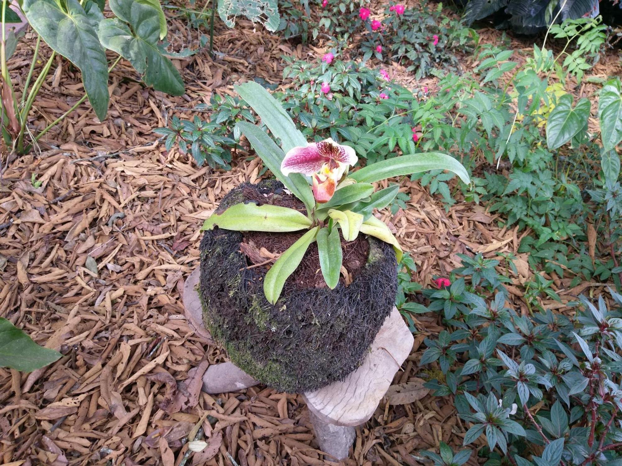 Refugio De Orquideas Villa Oxapampa Exteriör bild