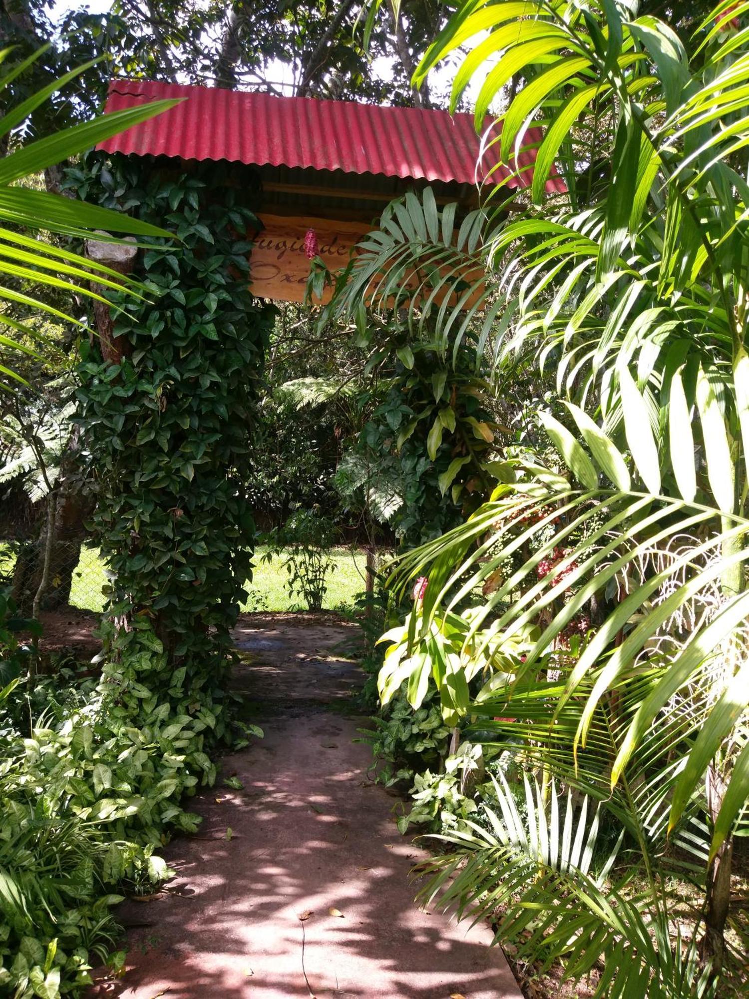 Refugio De Orquideas Villa Oxapampa Exteriör bild