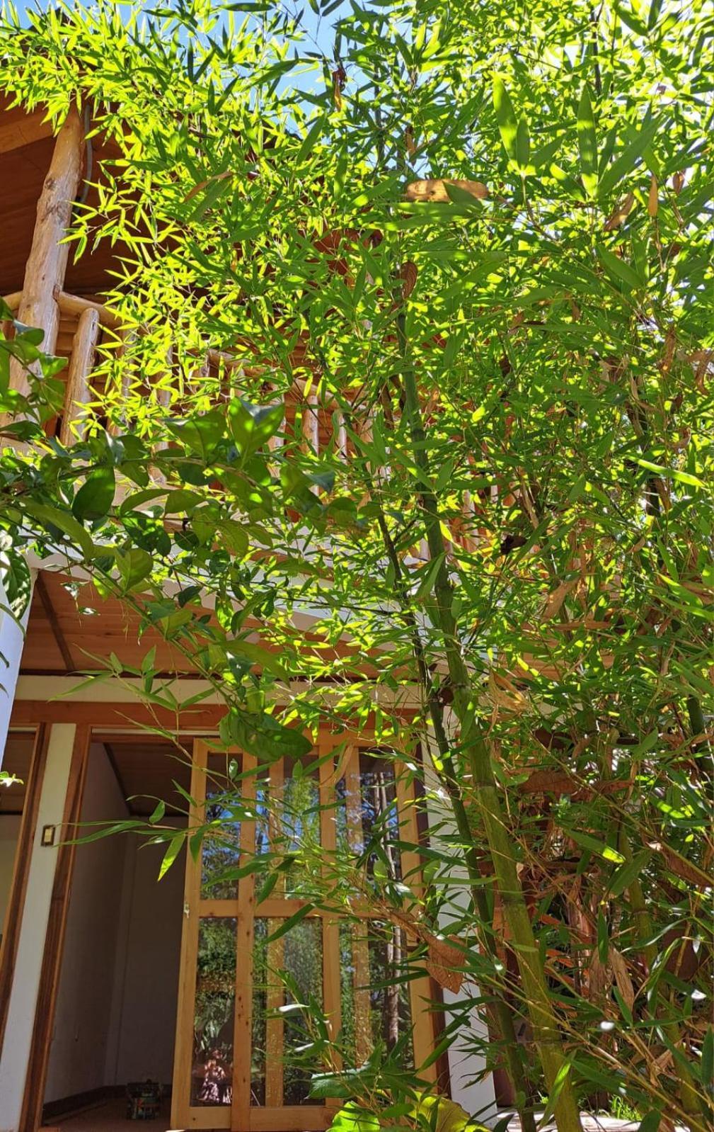 Refugio De Orquideas Villa Oxapampa Exteriör bild