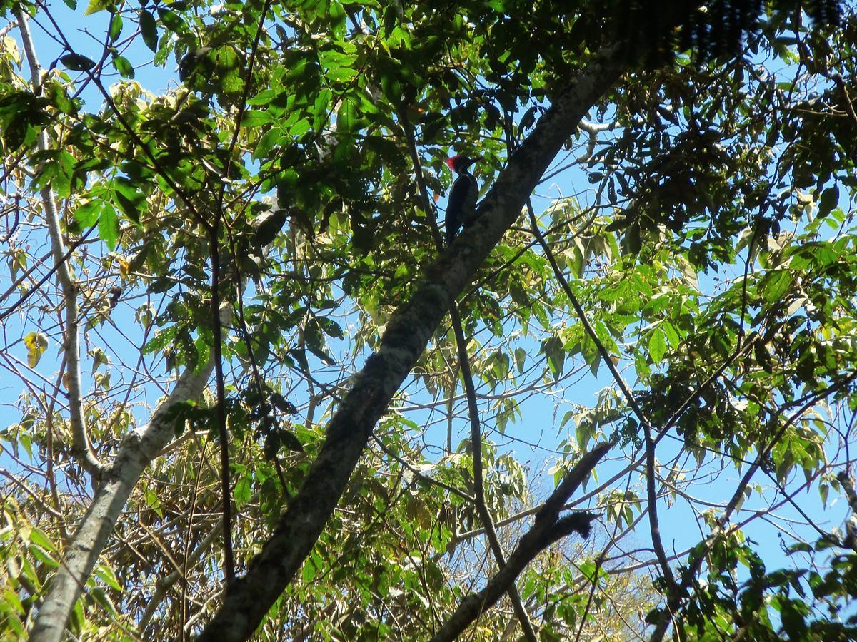 Refugio De Orquideas Villa Oxapampa Exteriör bild