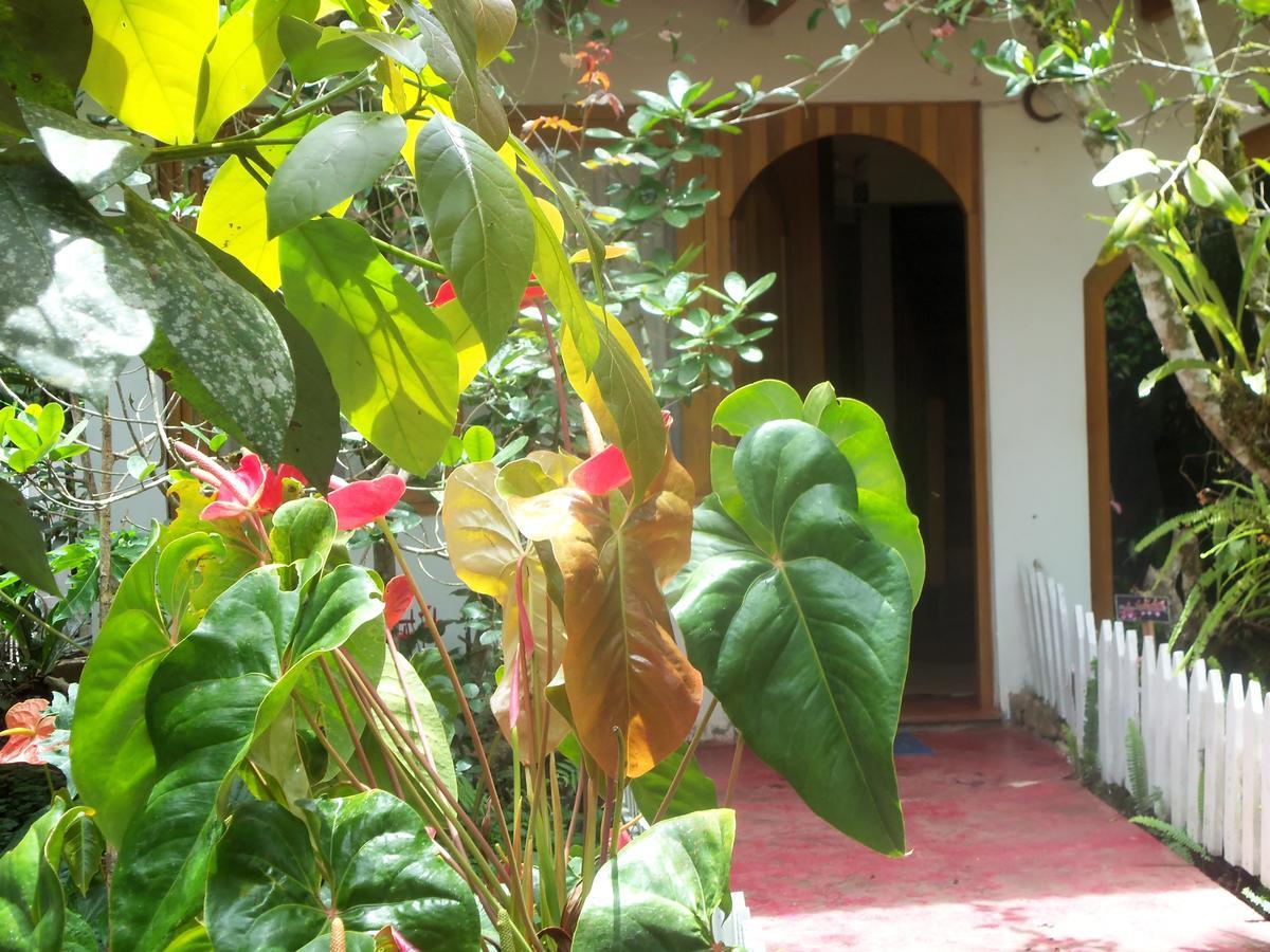 Refugio De Orquideas Villa Oxapampa Exteriör bild