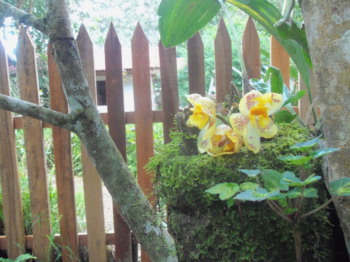 Refugio De Orquideas Villa Oxapampa Exteriör bild